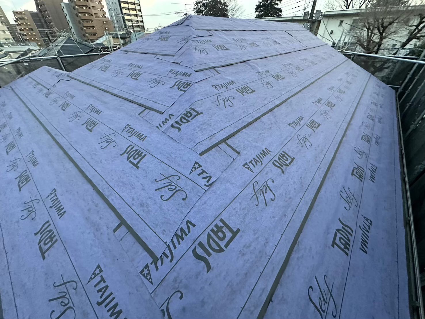 タディスセルフ